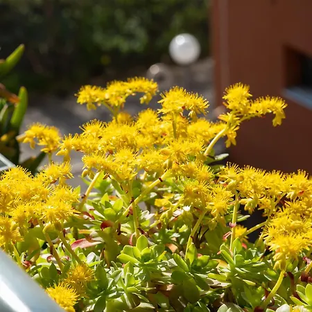 Casalucia Alle Porte Del Centro Appartement *