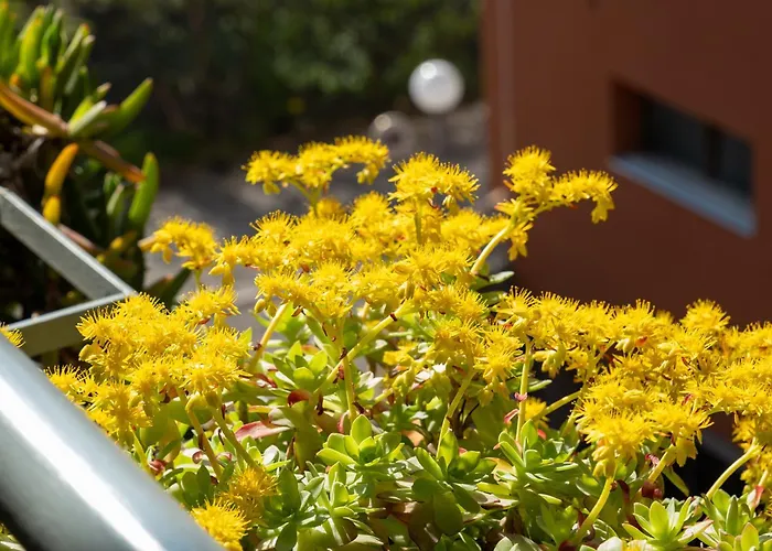 Casalucia Alle Porte Del Centro アパート *